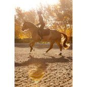 LeMieux Tapis de Selle Essence de Saut Noir