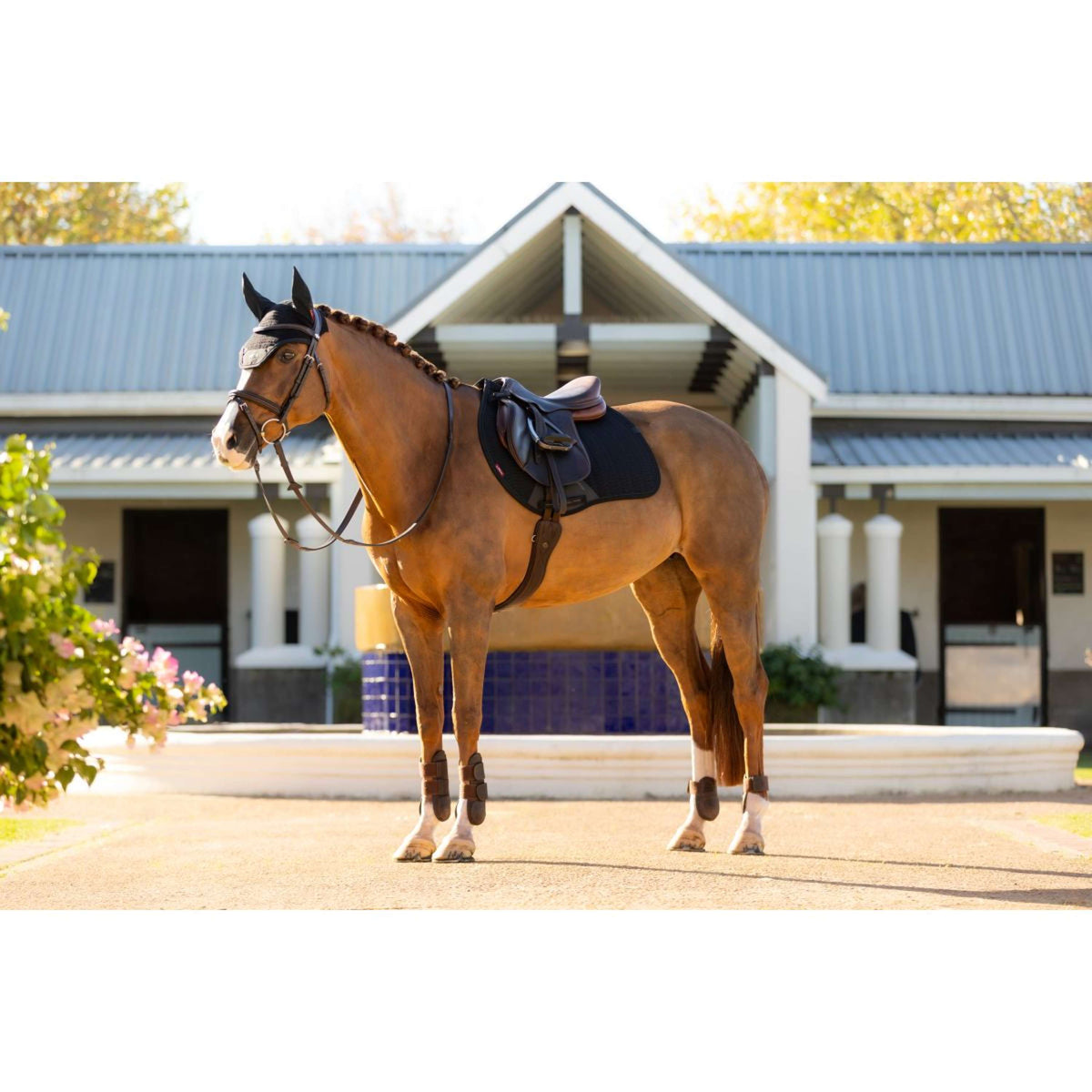 LeMieux Tapis de Selle Essence de Saut Noir