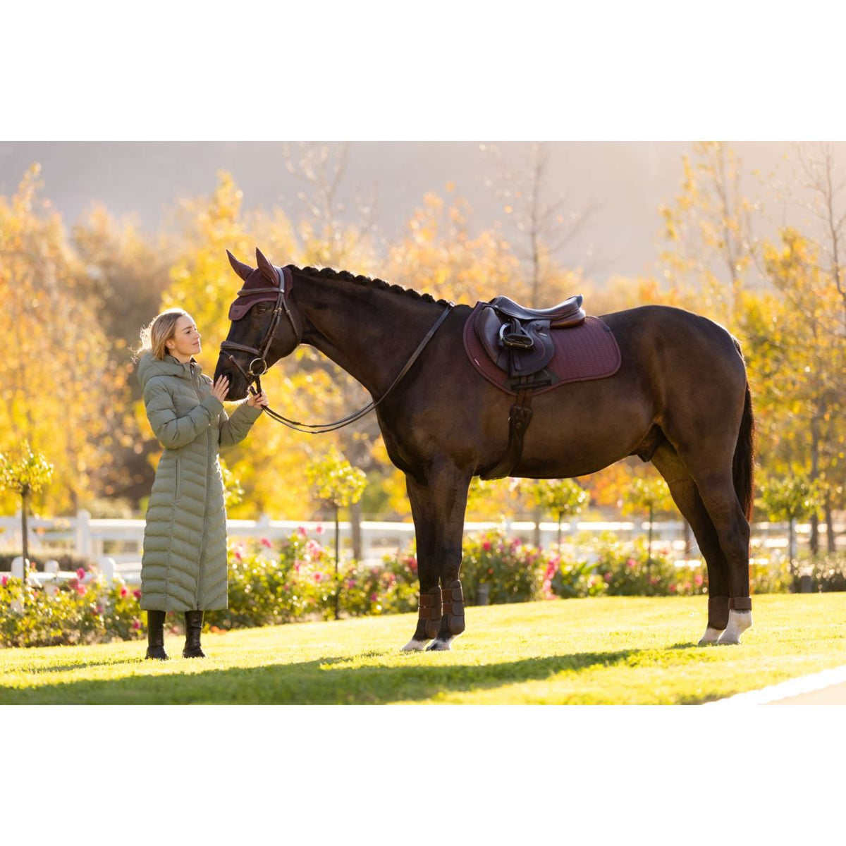 LeMieux Tapis de Selle Essence de Saut Damson