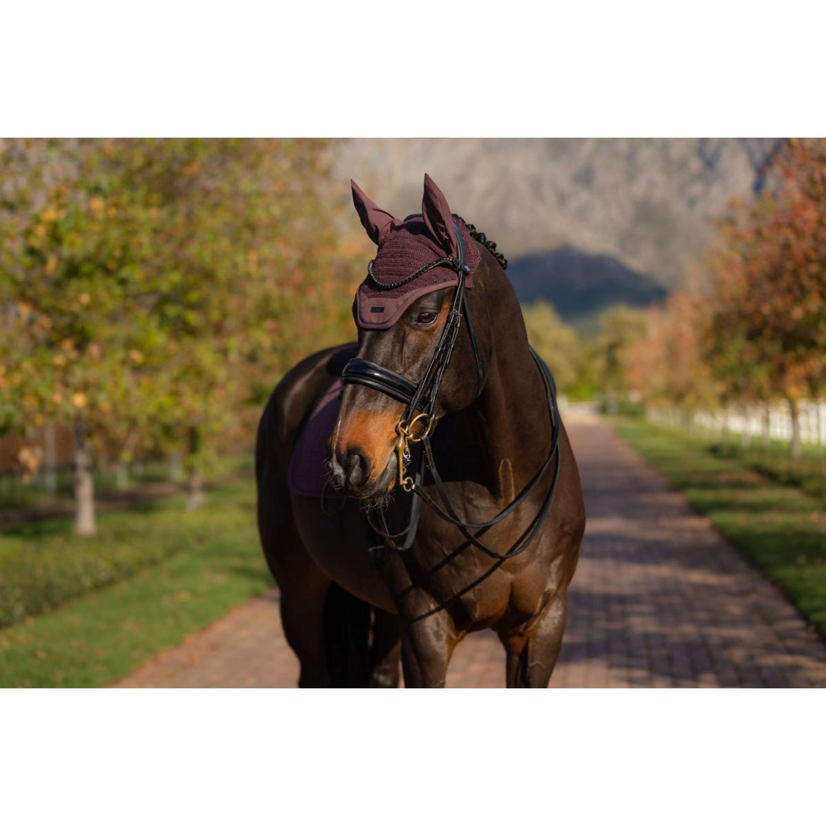 LeMieux Bonnet Anti-Mouches Essence Damson