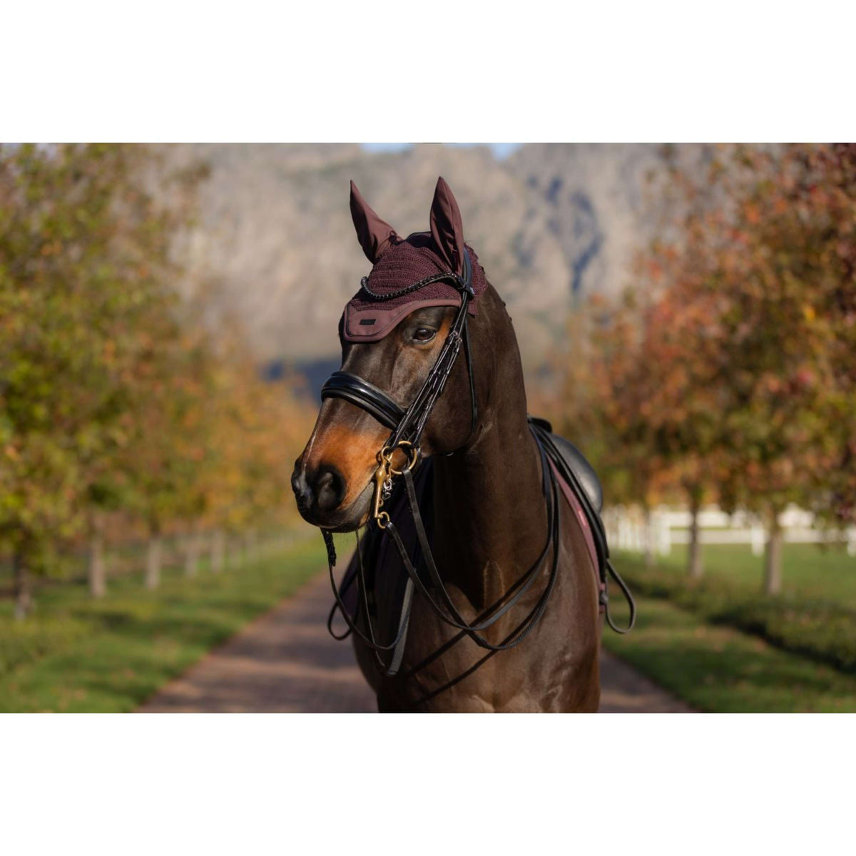 LeMieux Bonnet Anti-Mouches Essence Damson