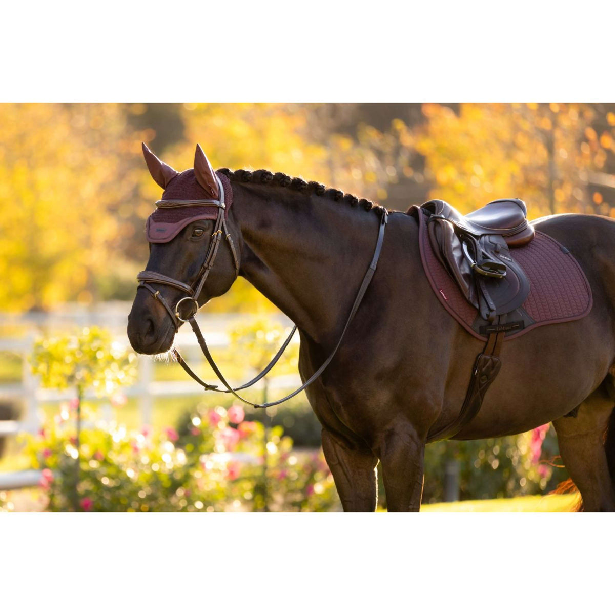 LeMieux Bonnet Anti-Mouches Essence Damson