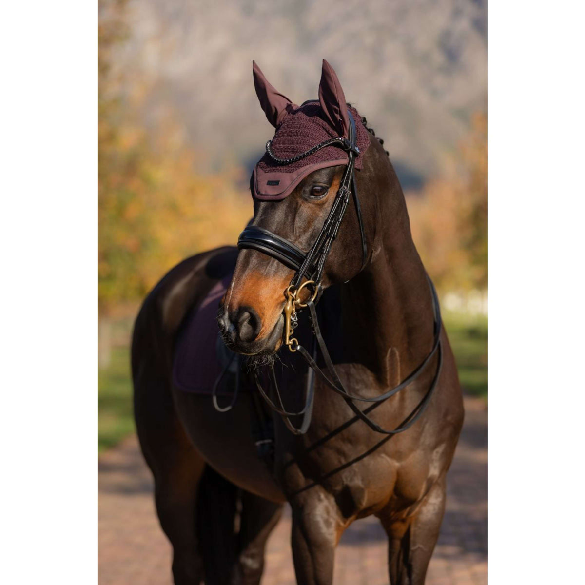 LeMieux Bonnet Anti-Mouches Essence Damson