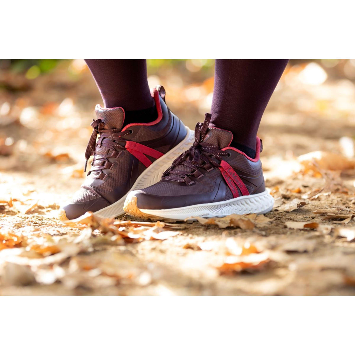 LeMieux Basket Trax Viva Étanche Damson