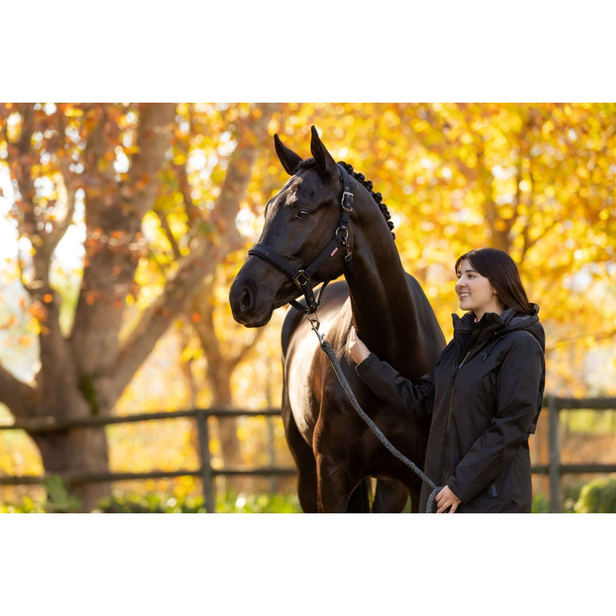 LeMieux Licol Essence Noir