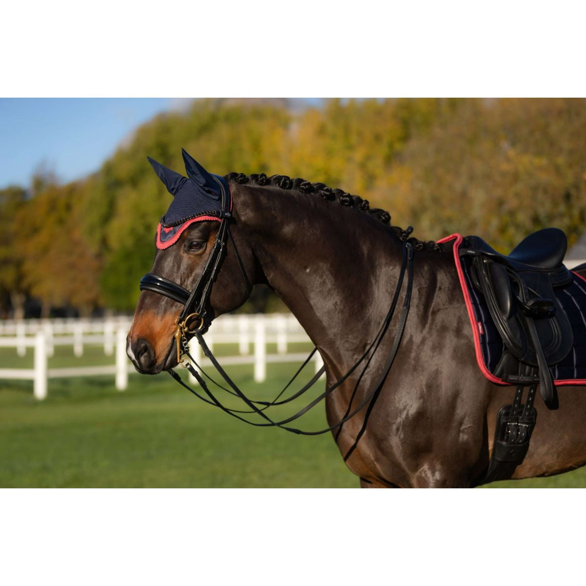 LeMieux Bonnet Anti-Mouches Loire Navy/Airelle