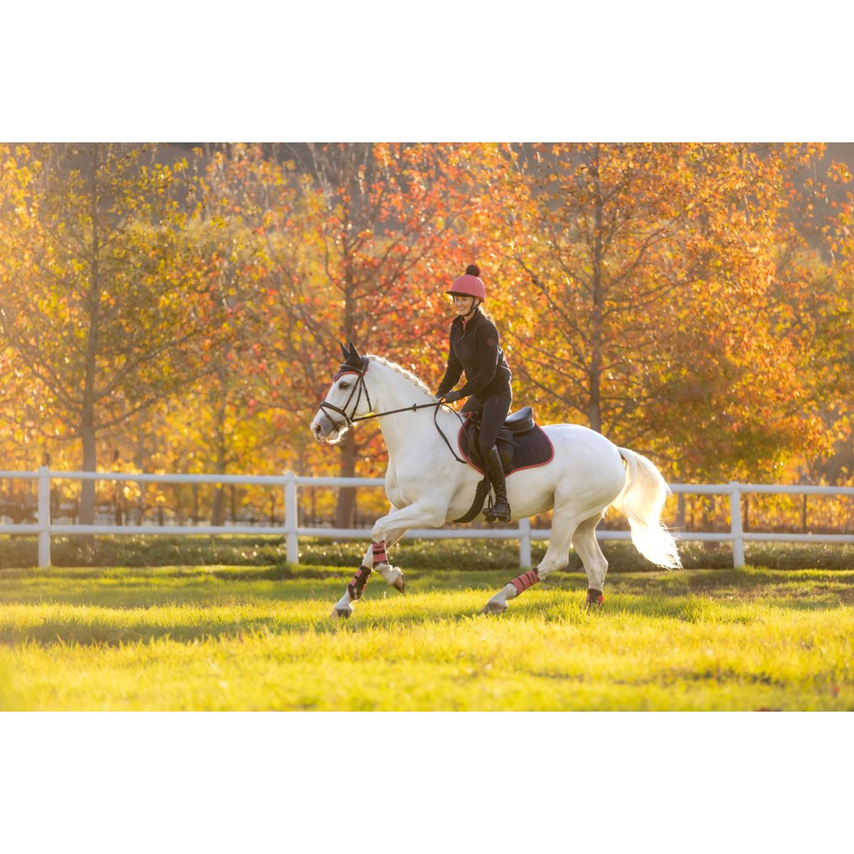 LeMieux Tapis de Selle Suede de Saut Navy/Airelle