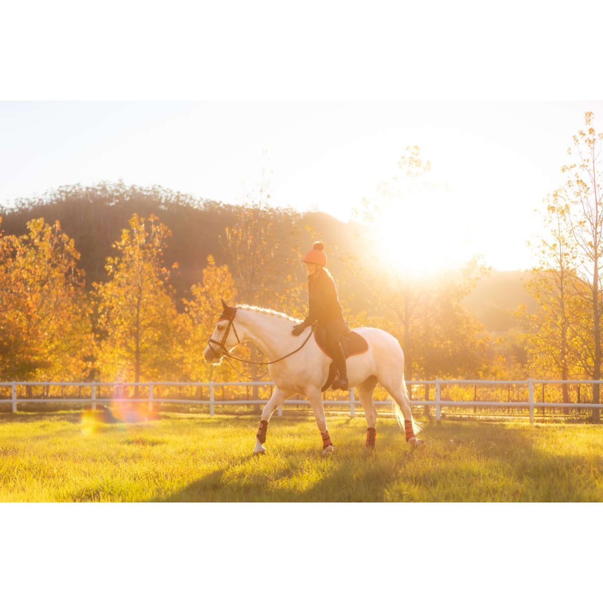 LeMieux Tapis de Selle Suede de Saut Navy/Airelle