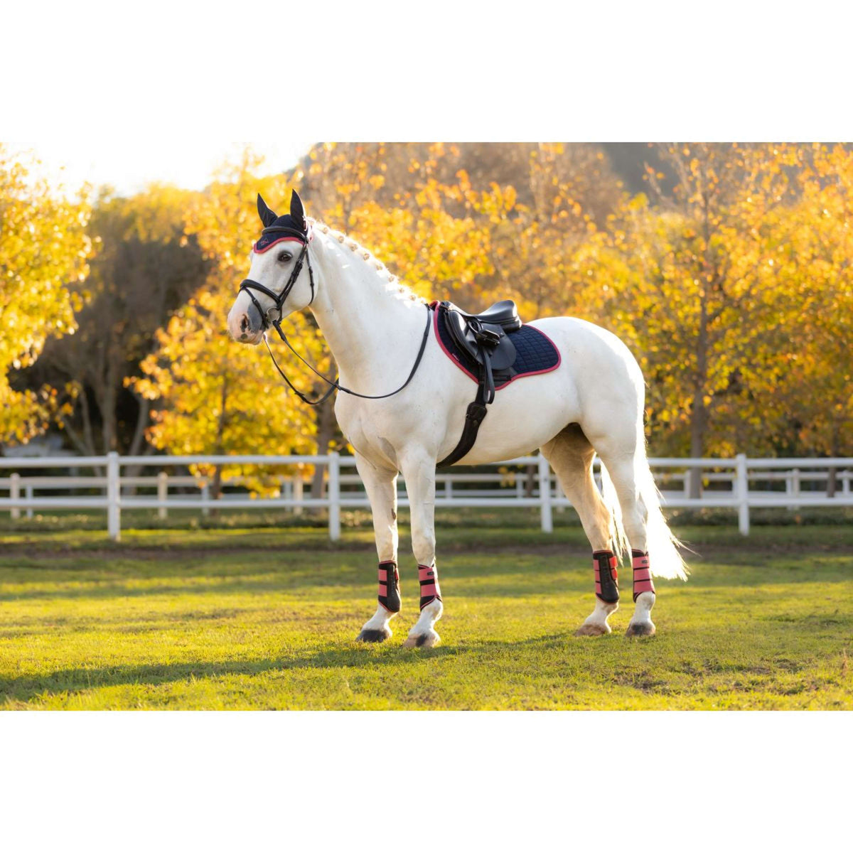 LeMieux Tapis de Selle Suede de Saut Navy/Airelle