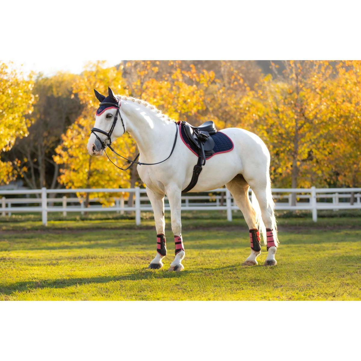 LeMieux Tapis de Selle Suede de Saut Navy/Airelle