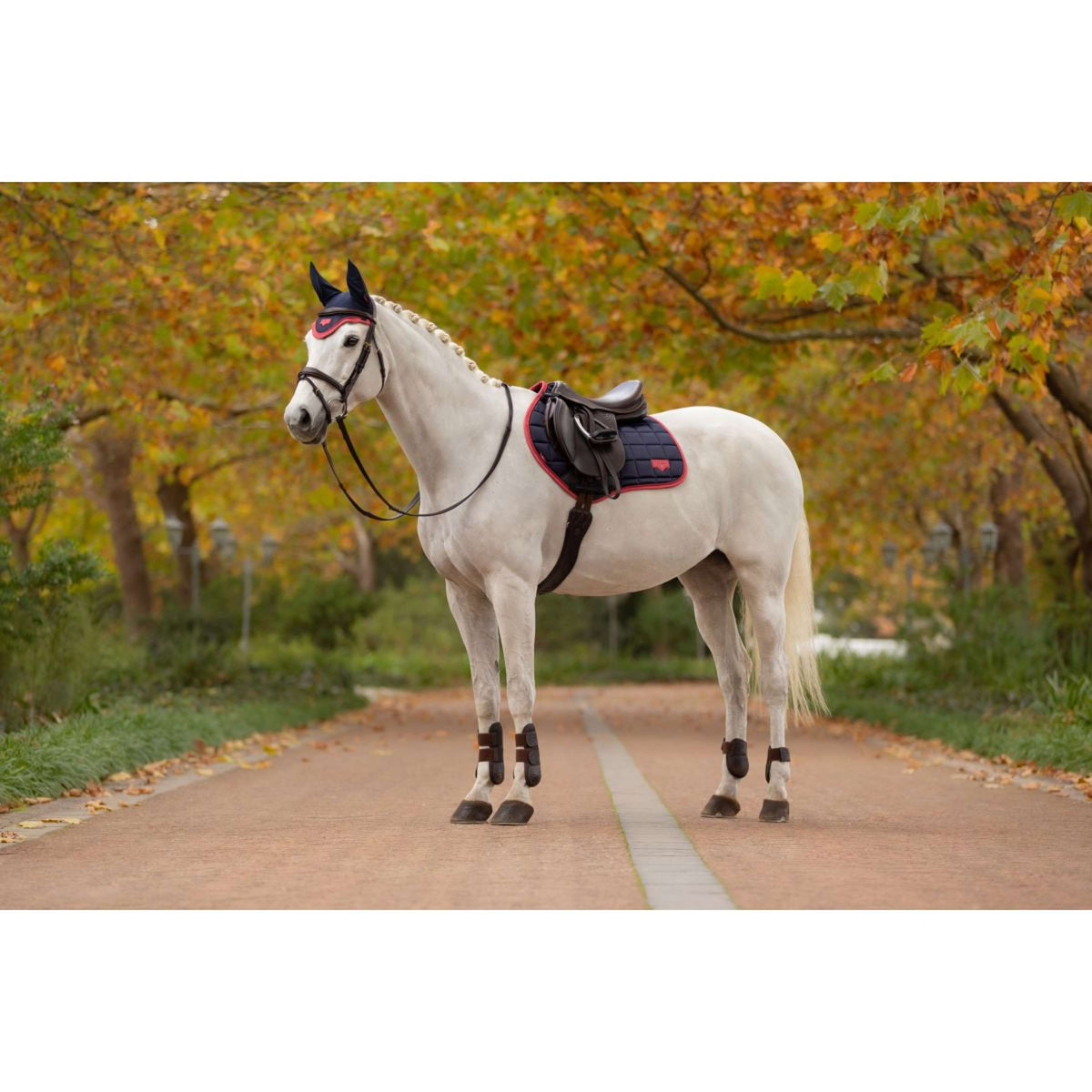 LeMieux Tapis de Selle Loire Classic de Saut Navy/Airelle