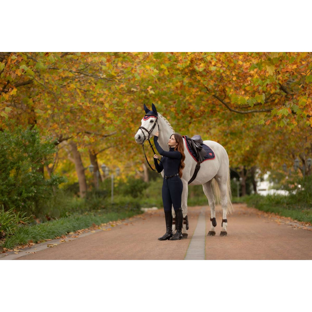 LeMieux Tapis de Selle Loire Classic de Saut Navy/Airelle