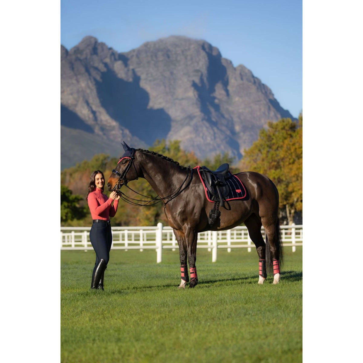 LeMieux Tapis de Selle Loire Classic Dressage Navy/Airelle