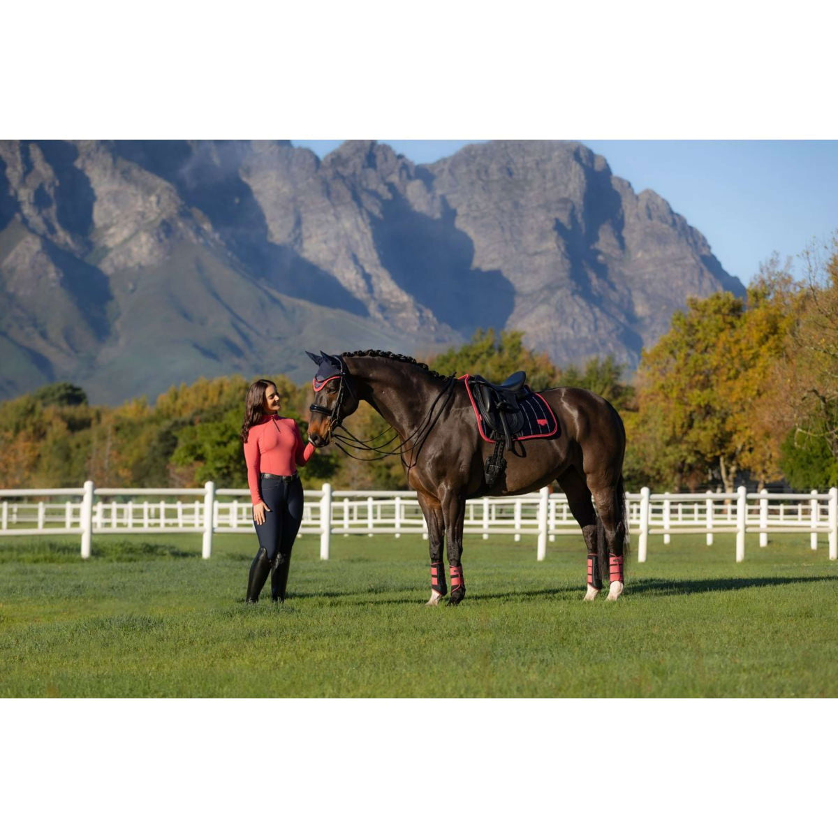 LeMieux Tapis de Selle Loire Classic Dressage Navy/Airelle