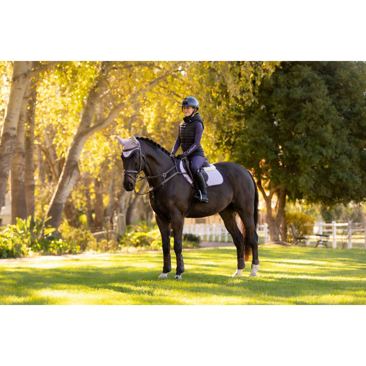 LeMieux Tapis de Selle Merino Suede de Saut Violet