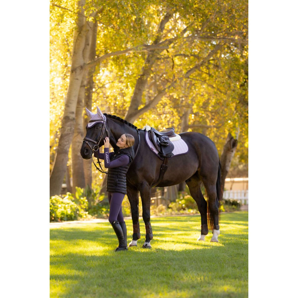 LeMieux Tapis de Selle Merino Suede de Saut Violet