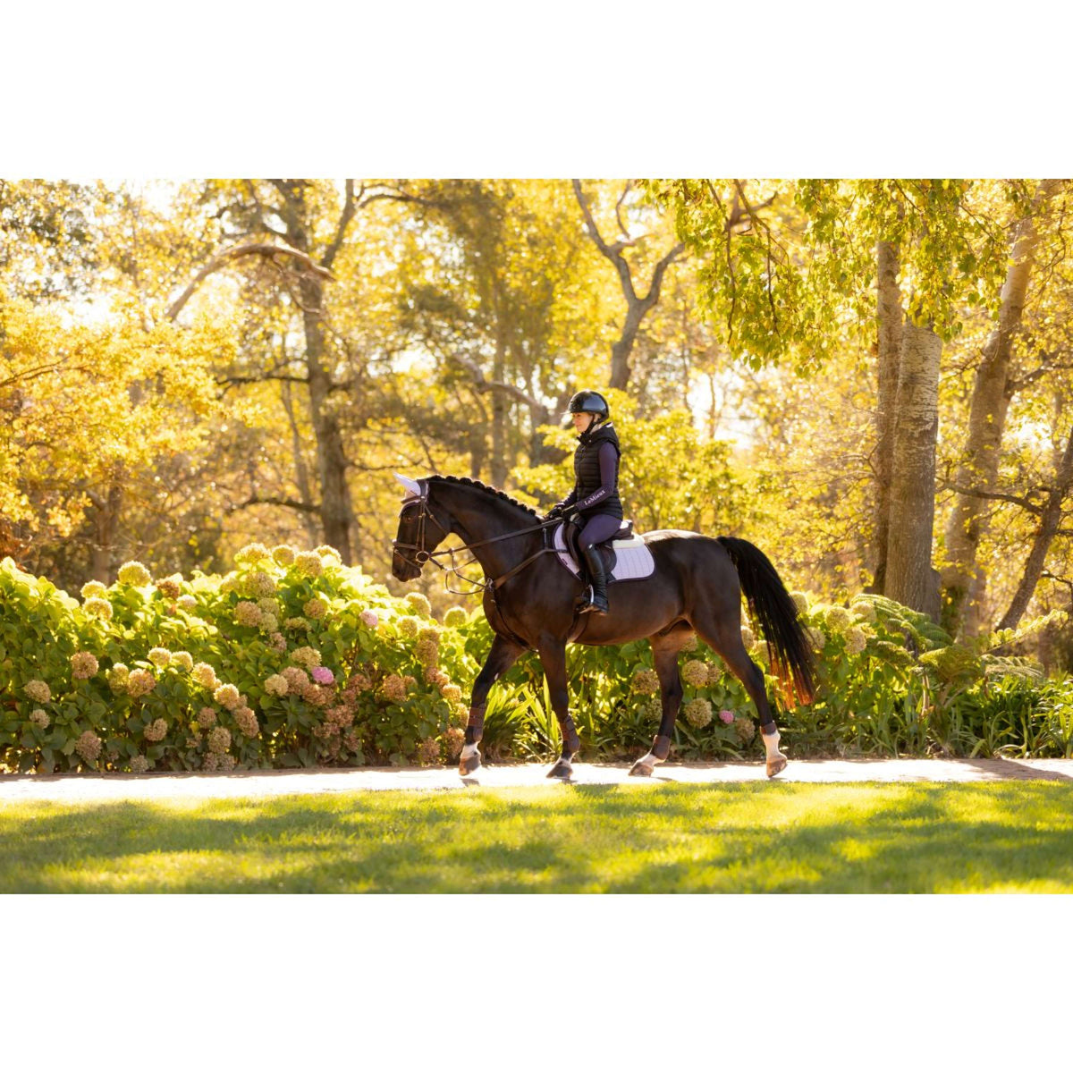 LeMieux Tapis de Selle Merino Suede de Saut Violet