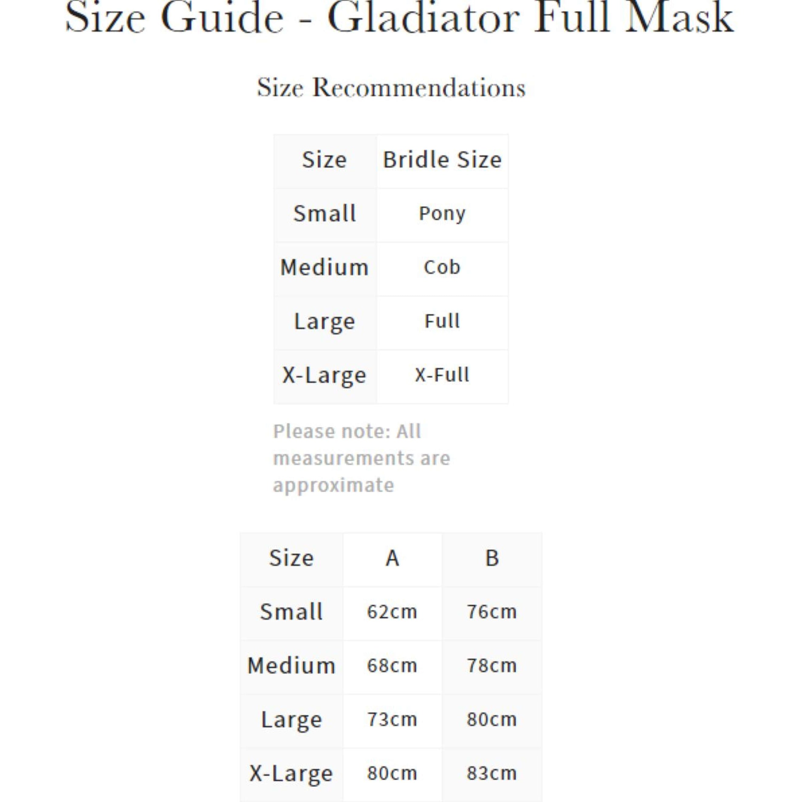 LeMieux Filet Anti-Mouches Gladiator Full Gris LeMieux Filet Anti-Mouches Gladiator Full Gris