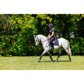 LeMieux Tapis de Selle Pillow Pad Marin