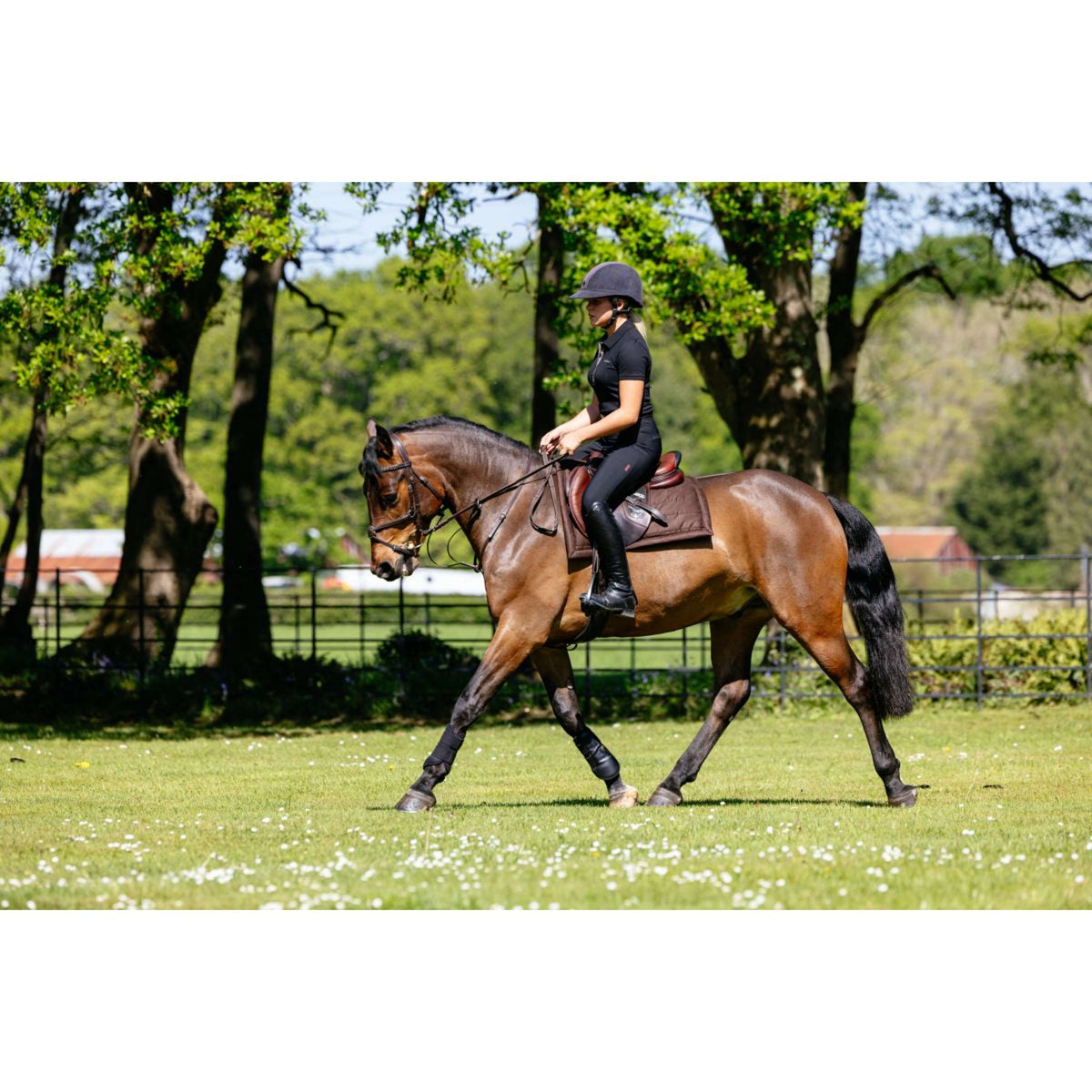 LeMieux Tapis de Selle Pillow Pad Marron