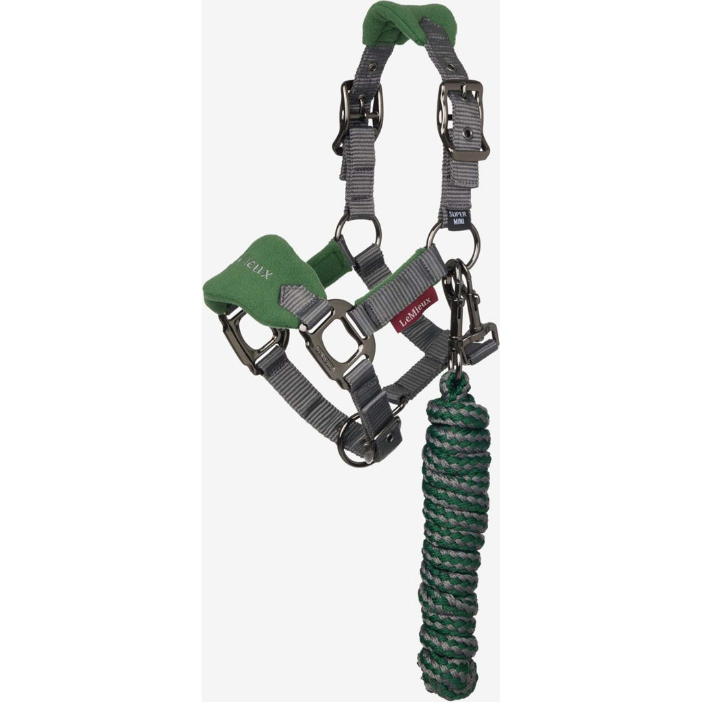 LeMieux Ensemble Licol Mini Vogue Hunter Green