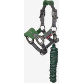 LeMieux Ensemble Licol Mini Vogue Hunter Green