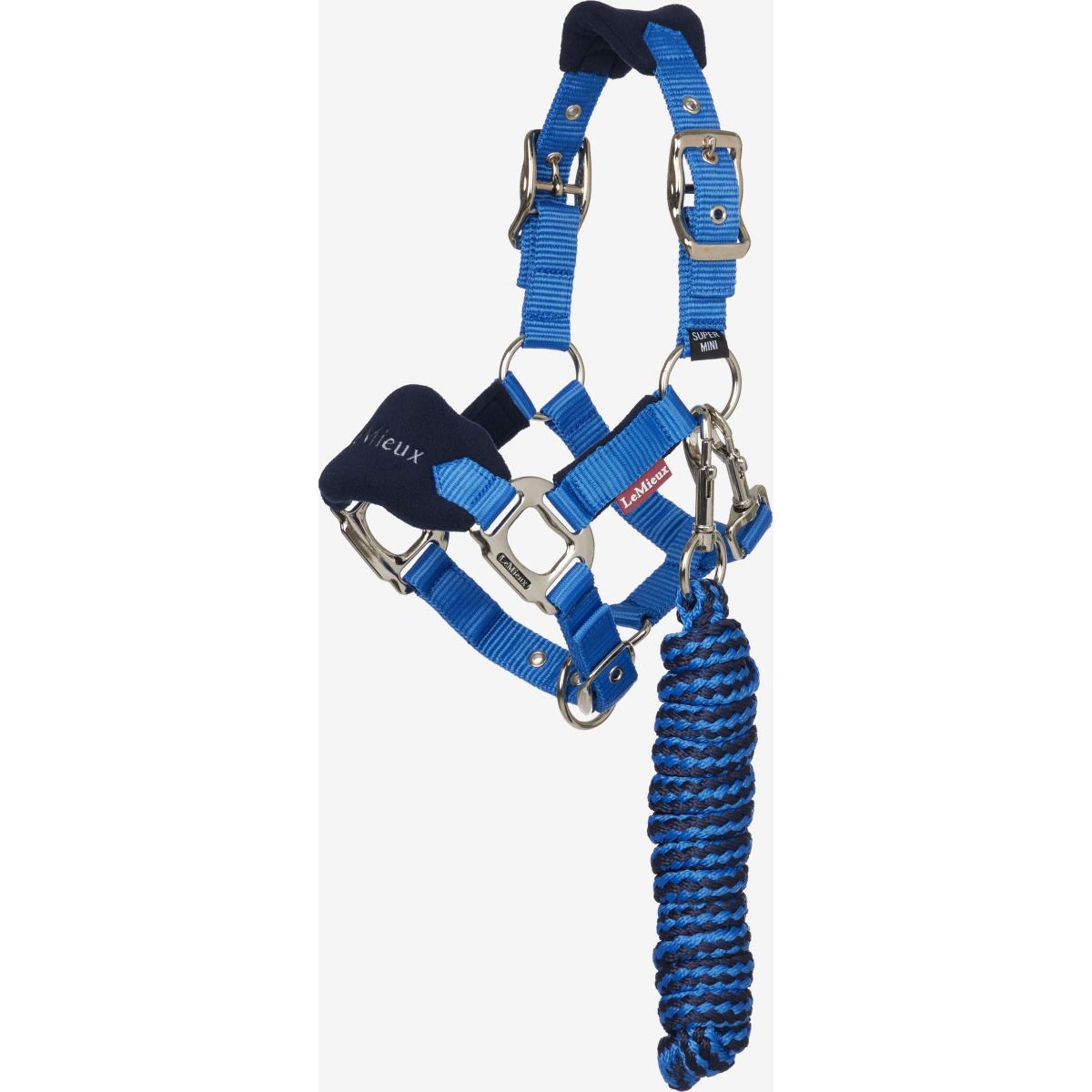 LeMieux Ensemble Licol Mini Vogue Benetton