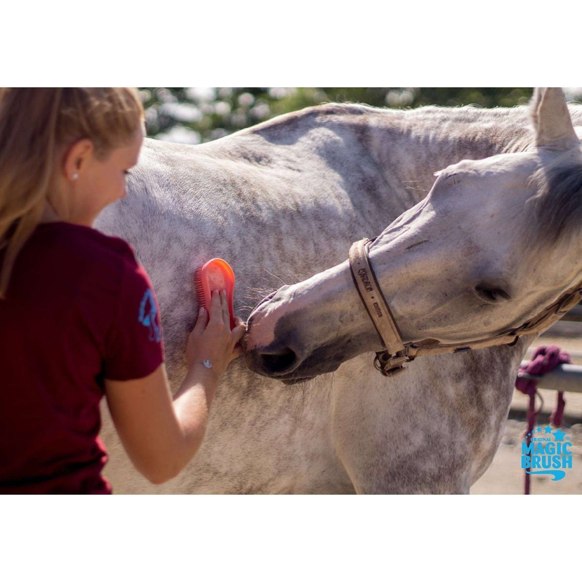 Agradi Horse Magic Brush Brosse Vert Foncé