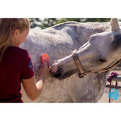 Magic Brush Brosse Pink Pony Rose