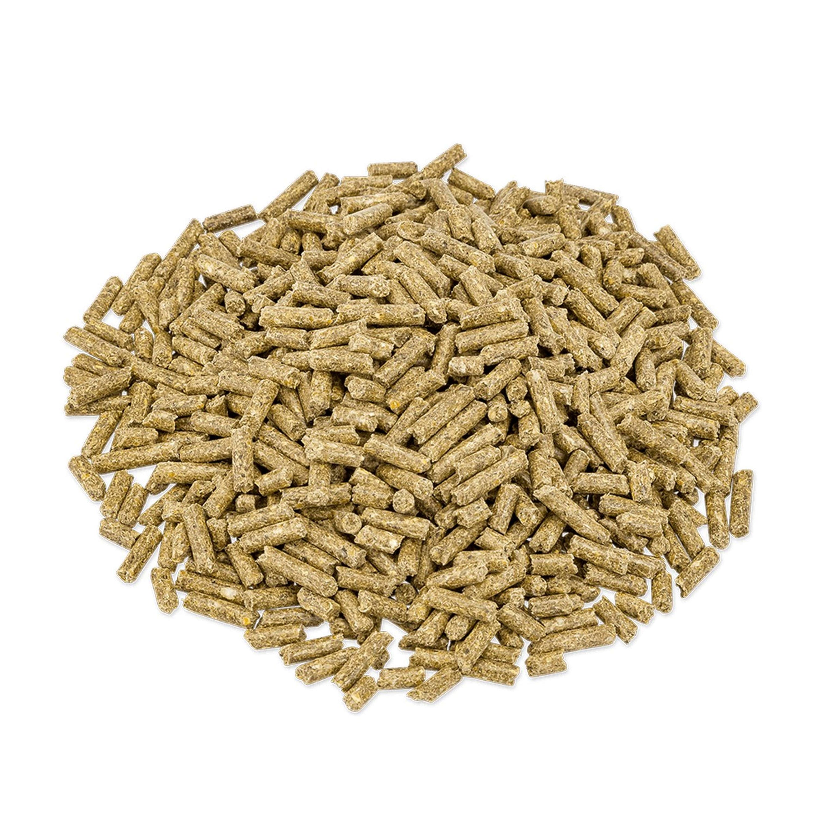 Metazoa FitRight Kangourou Metazoa FitRight Kangourou