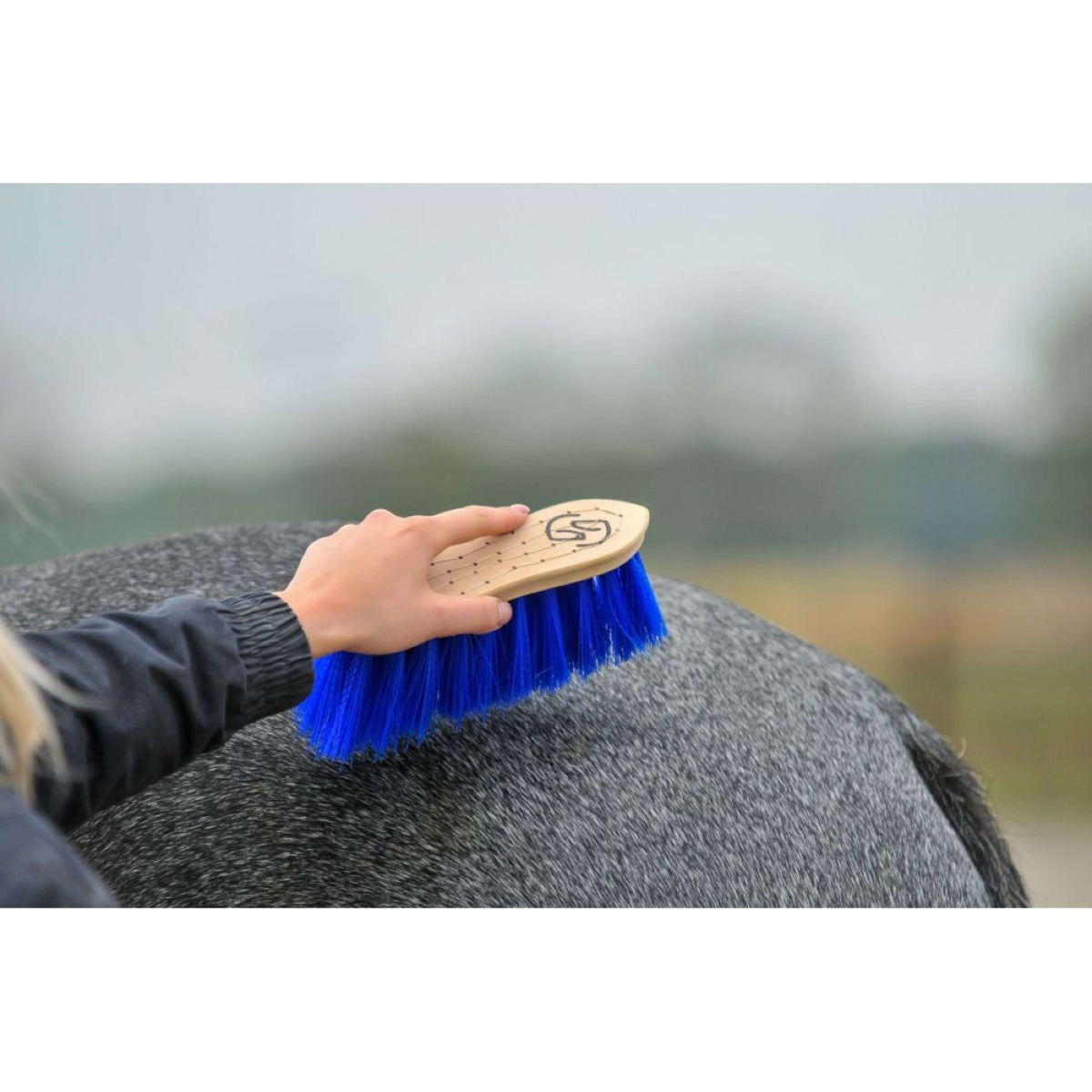 One Equestrian Brosse Medium