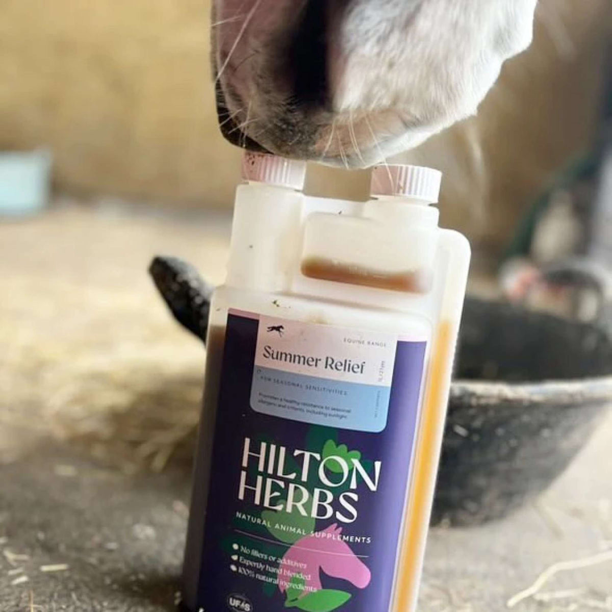 Hilton Herbs Shake No More