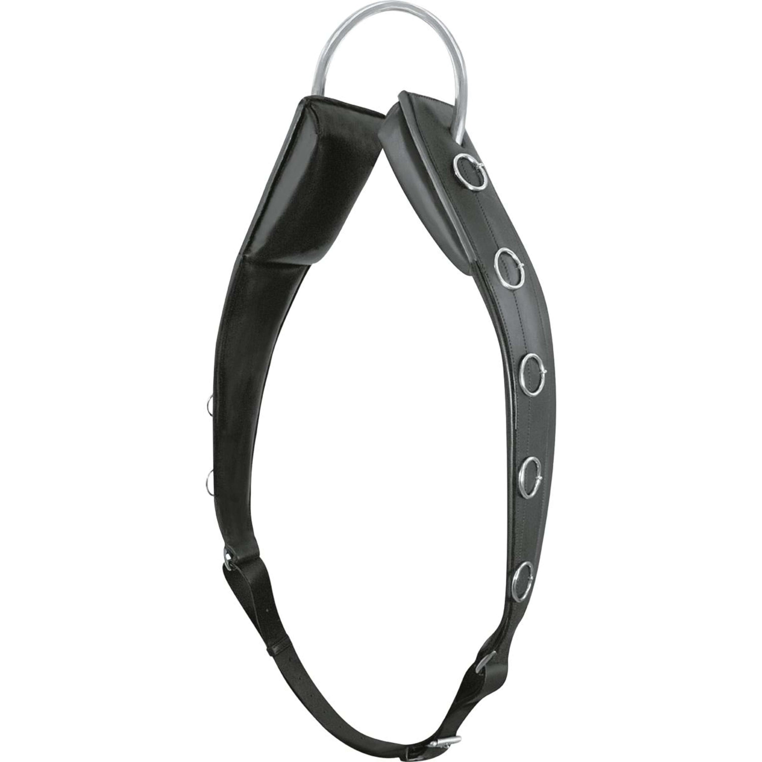 Passier Surfaix de Longe à pont Horst Becker Noir