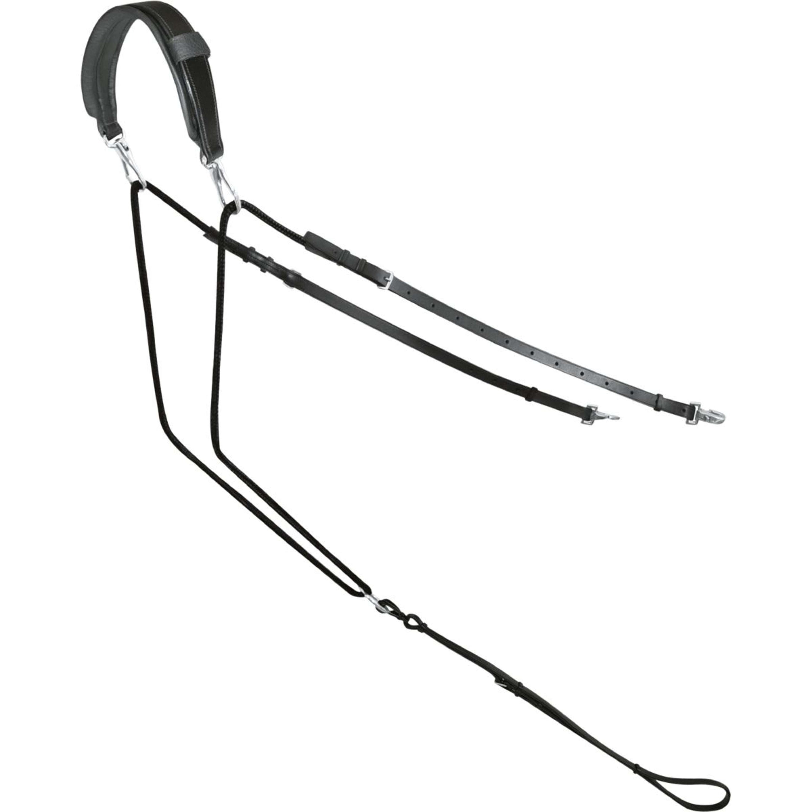 Passier Rênes Fixes Horst Becker Noir
