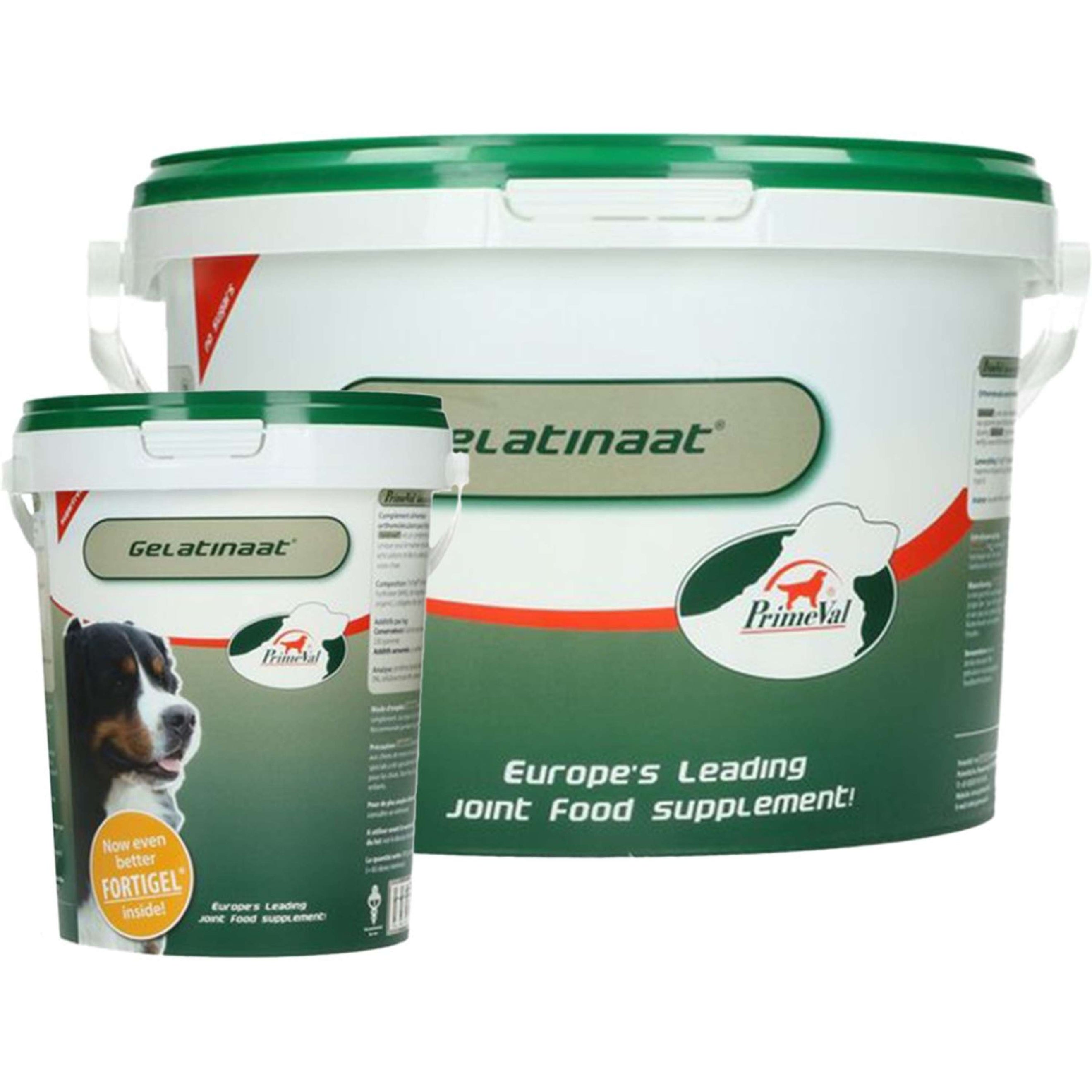 Primeval Gelatinate Chien