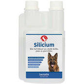 Sectolin Silicium Chien