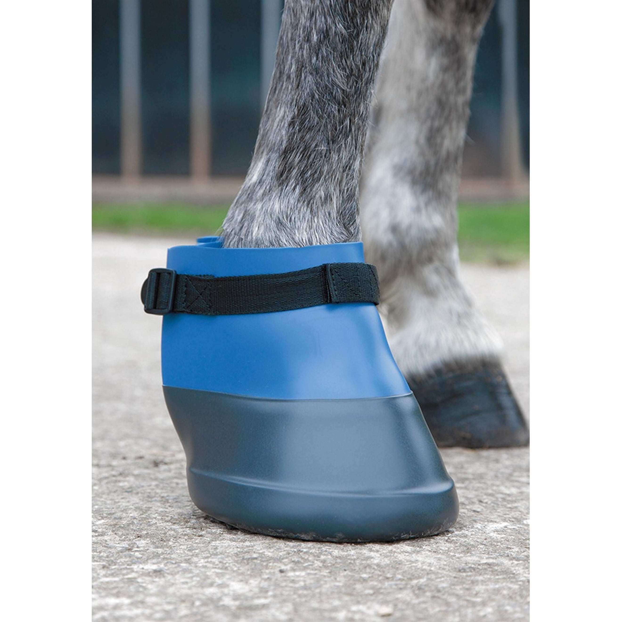 Shires Chaussure pour Cheval Bleu