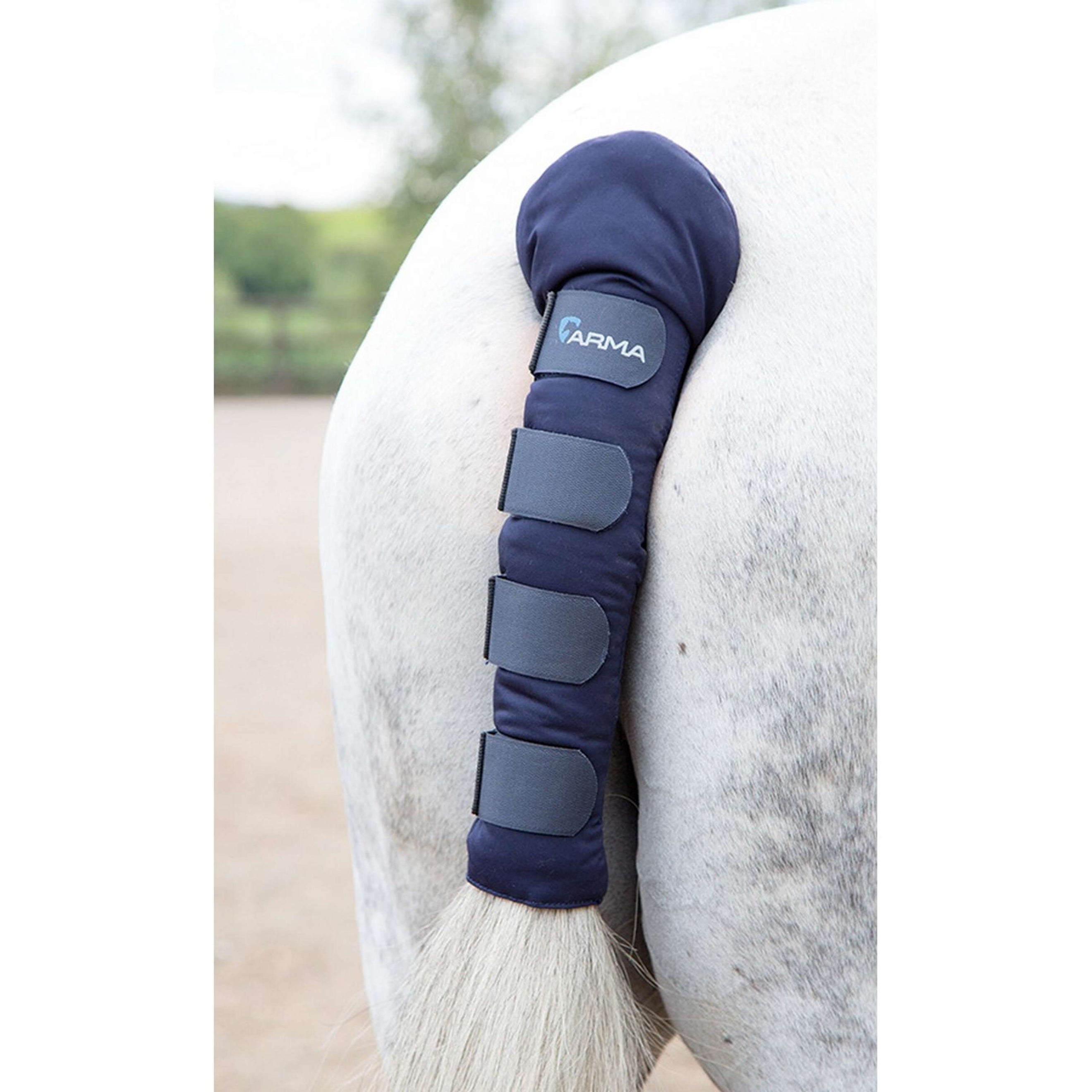 Arma by Shires Protege Queue Padded Marin