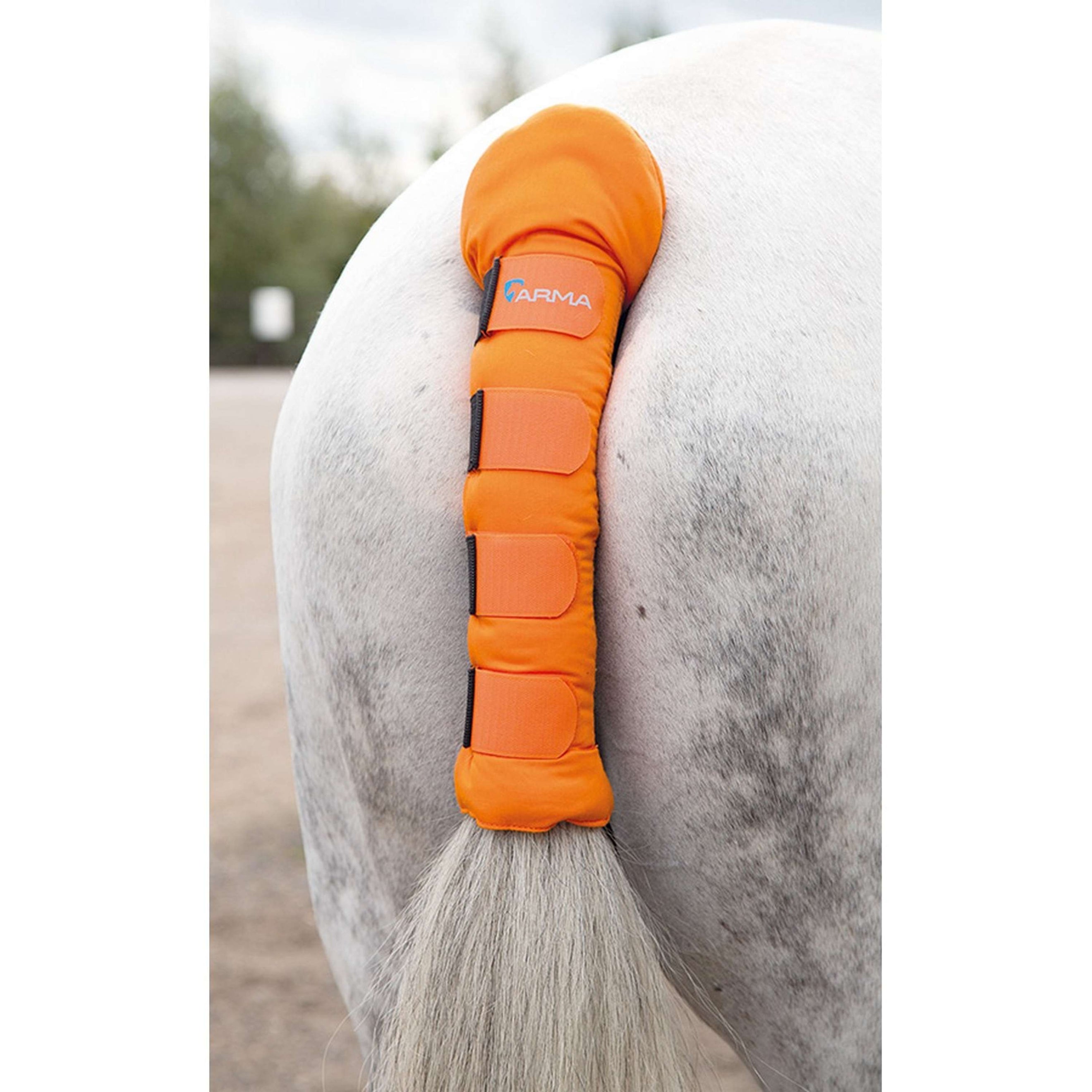 Arma by Shires Protege Queue Padded Orange