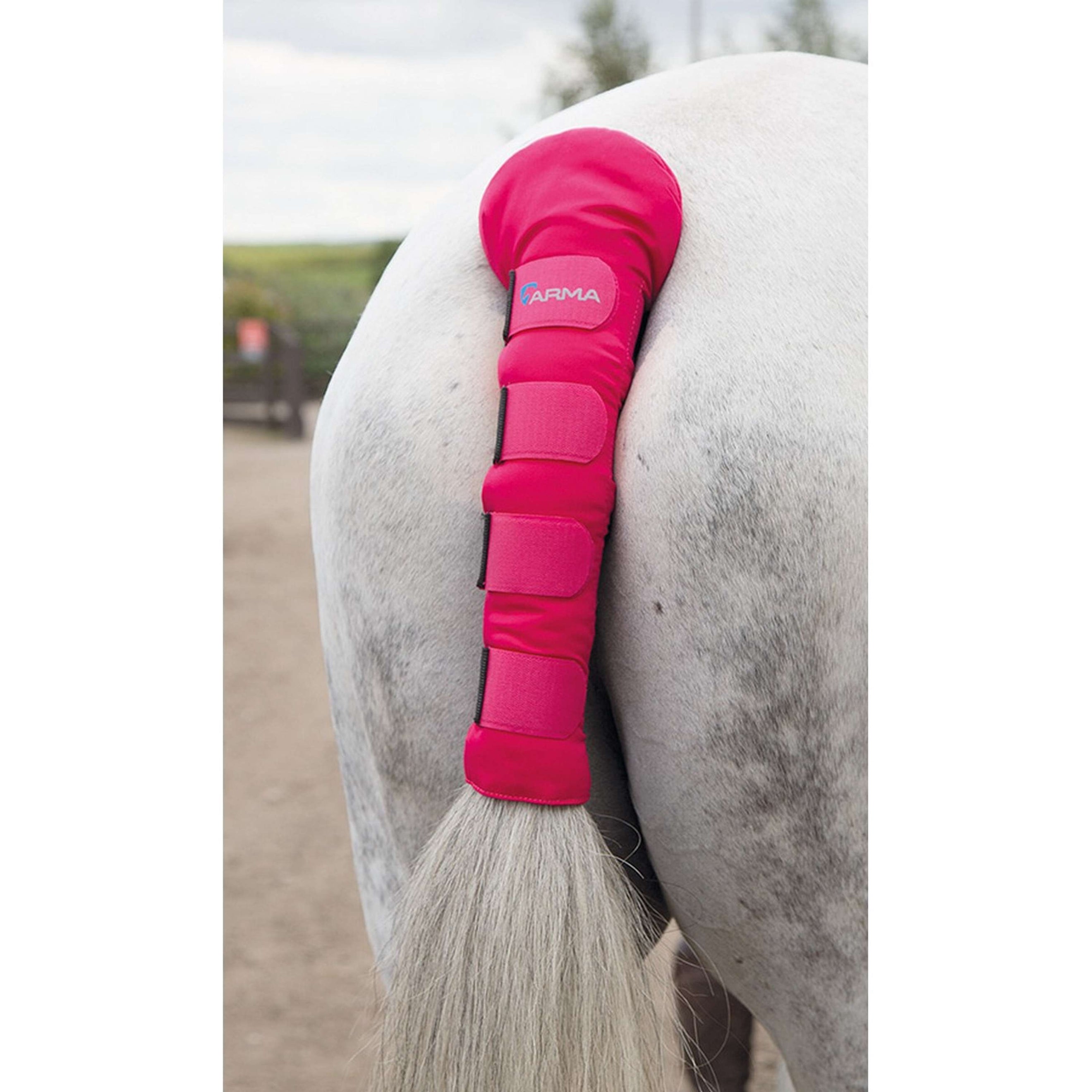 Arma by Shires Protege Queue Padded Rose