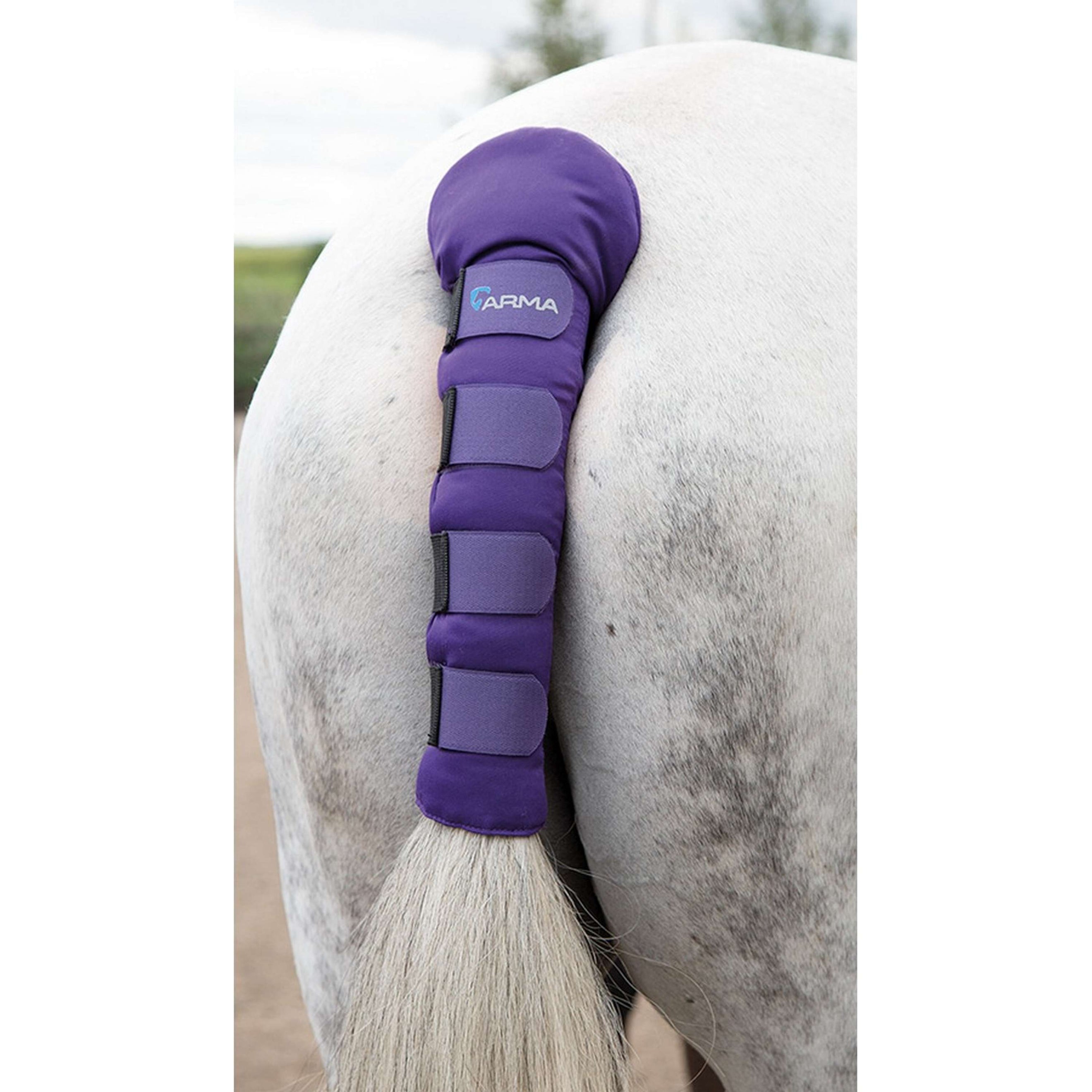 Arma by Shires Protege Queue Padded Violet