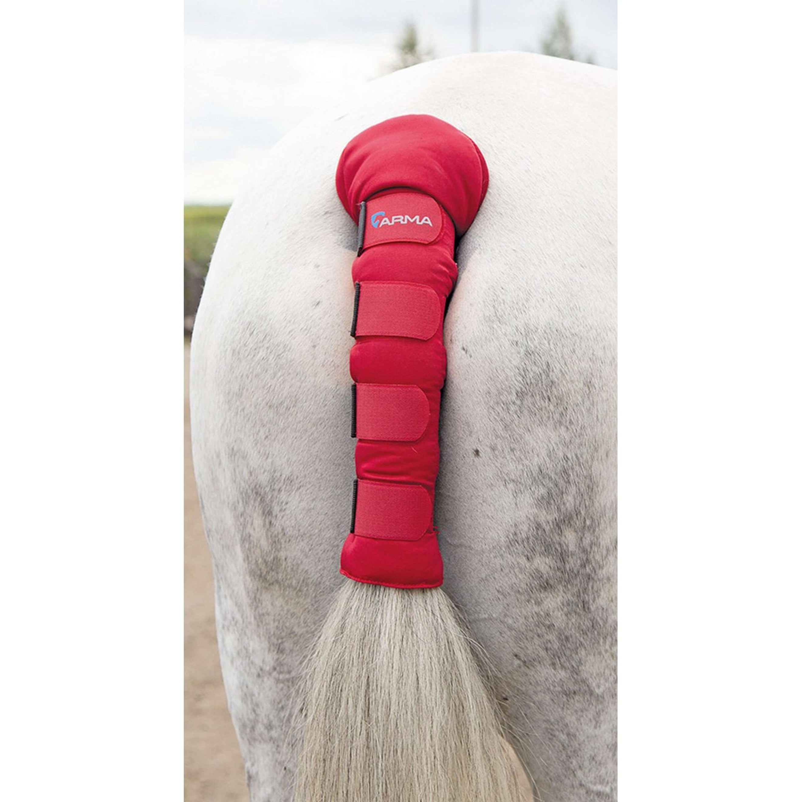 Arma by Shires Protege Queue Padded Rouge