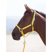 Shires Licol Topaz Nylon Jaune