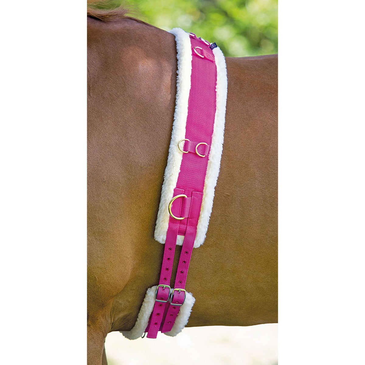 Shires Nylon Longe/ Pad de Surfaix avec Doublure en Polaire Framboise