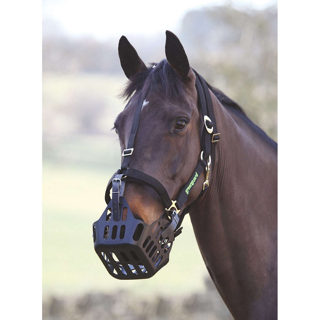 Greenguard by Shires Licol Noir