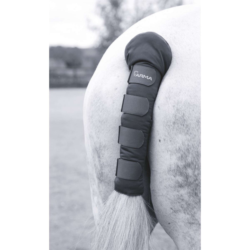 Arma by Shires Protege Queue Padded Noir