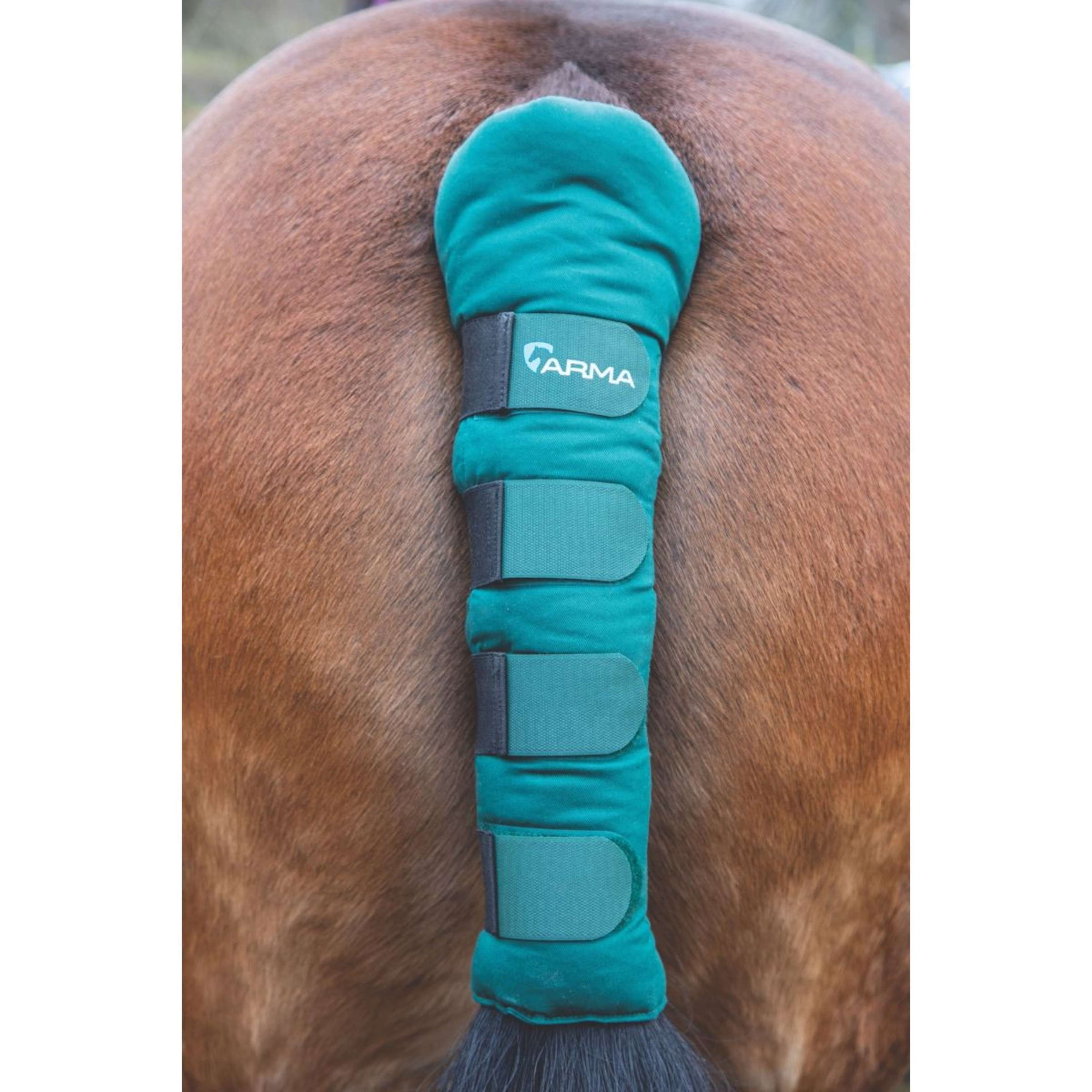 Arma by Shires Protege Queue Padded Vert