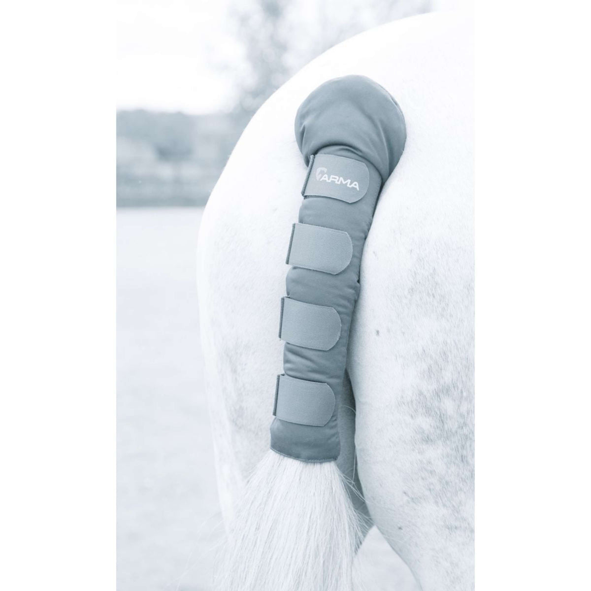 Arma by Shires Protege Queue Padded Gris