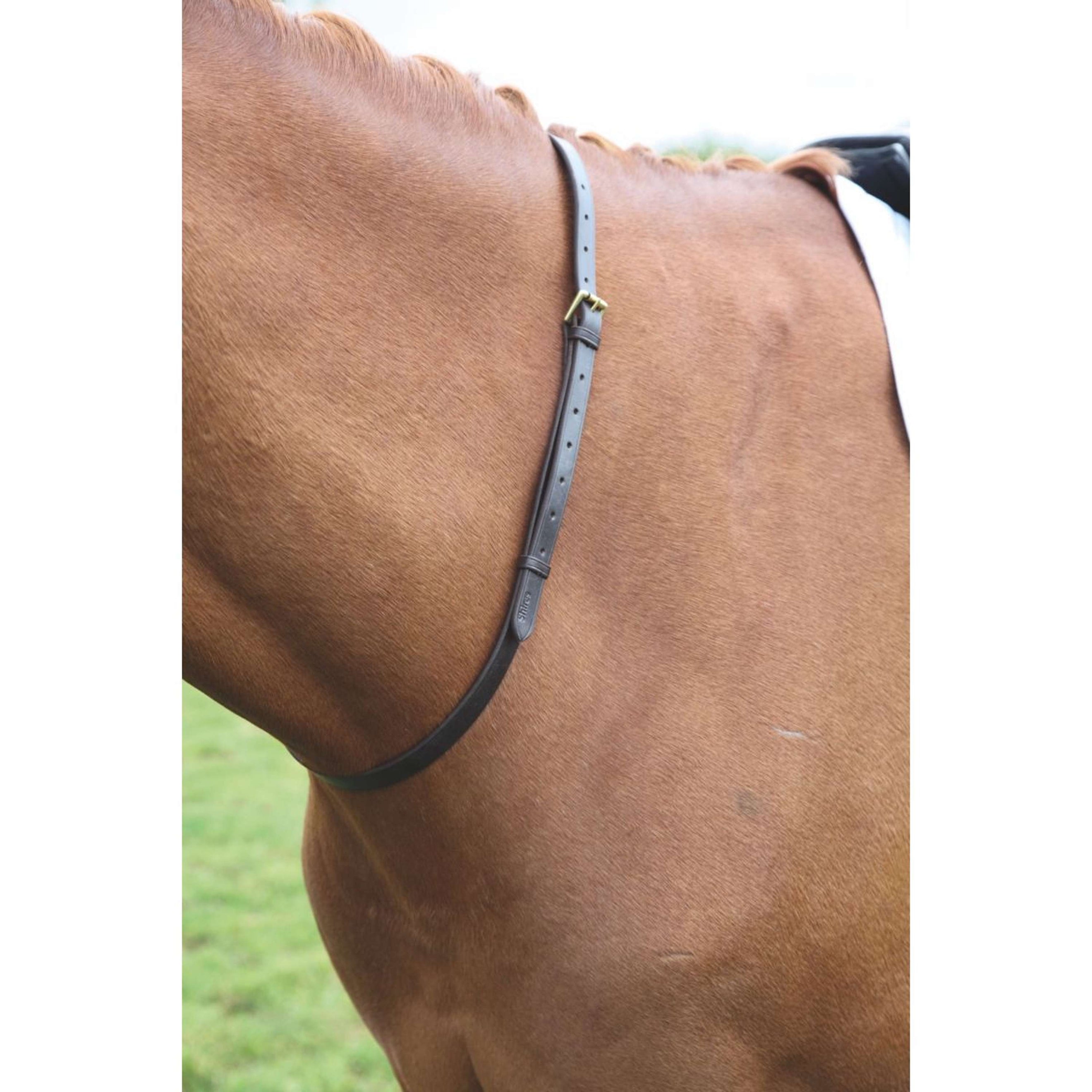 Blenheim Neck Strap Havane