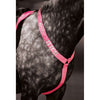 Equi-Flector by Shires Pièce de Poitrail Réfléchissant Fluor Rose